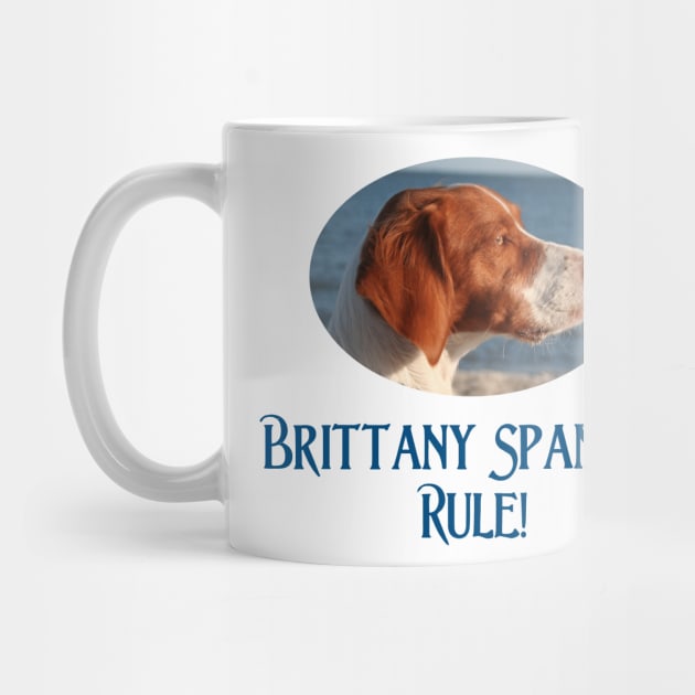 Brittany Spaniels Rulel by Naves